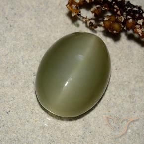 7.05 ct Green Actinolite Cat's Eye Stone, Natural Actinolite Cat's Eye in Oval Cabochon Shape for Sale