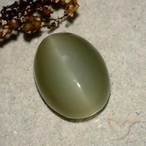 Actinolite Cat's Eye Gemstone in 14.5 x 10.8 mm Size for Sale, Actinolite Cat's Eye Stone in Deep Green Color