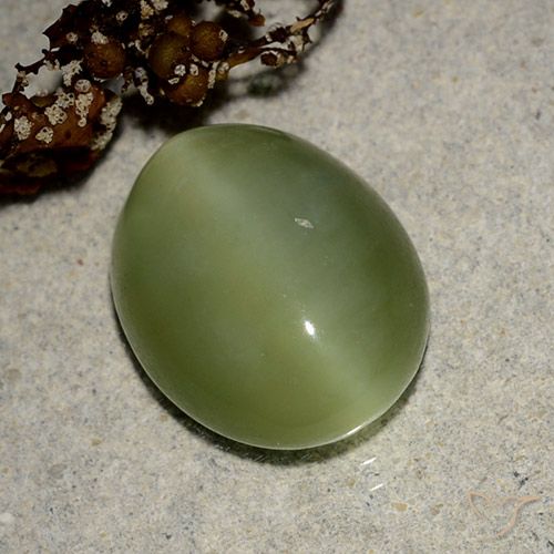 13.2 x 10.7mm Oval Cabochon Green Actinolite Cat's Eye from United States, Weight of 6.09ct, Natural untreated Gemstone in Translucent Clarity, 1pc Actinolite Cat's Eye - Color: Medium Green, Mohs Hardness of 5.5 - 6, Photo A