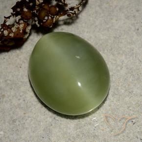 Actinolite Cat's Eye Gemstone in 13 x 11 mm (calibrated) Size for Sale, Actinolite Cat's Eye Stone in Medium Green Color