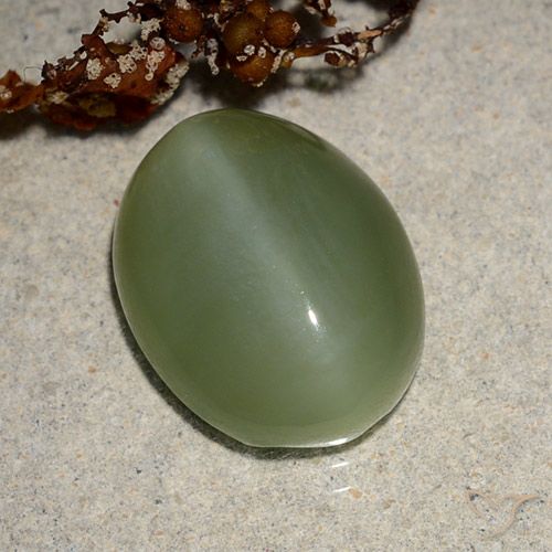 Occhio di gatto ovale in actinolite da 6,88 ct, 14,5 x 11,3 mm dagli Stati Uniti, Photo A
