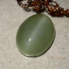 6.88 ct Green Actinolite Cat's Eye Stone, Natural Actinolite Cat's Eye in Oval Cabochon Shape for Sale