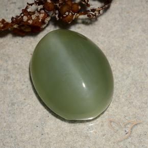 Actinolite Cat's Eye Gemstone in 14.5 x 11.3 mm Size for Sale, Actinolite Cat's Eye Stone in Medium Green Color