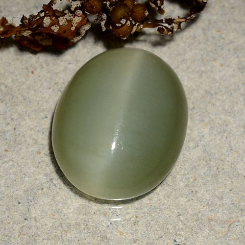 5,1 ct ovaler grüner Actinolith Katzenauge aus den USA, Größe 13,1 x 10,6mm, Garantiert natürlicher Edelstein, Translucent Reinheit, 1 Stück Actinolith Katzenauge in Gelblich-grün Farbe, Mohs-Härte von 5,5 - 6, Photo A