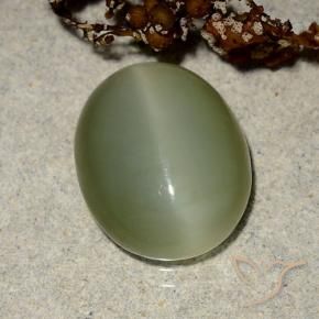 5.10 ct Green Actinolite Cat's Eye Stone, Natural Actinolite Cat's Eye in Oval Cabochon Shape for Sale