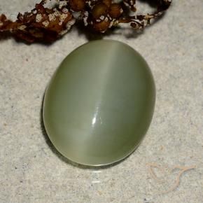 Actinolite Cat's Eye Gemstone in 13.1 x 10.6 mm Size for Sale, Actinolite Cat's Eye Stone in Yellowish Green Color