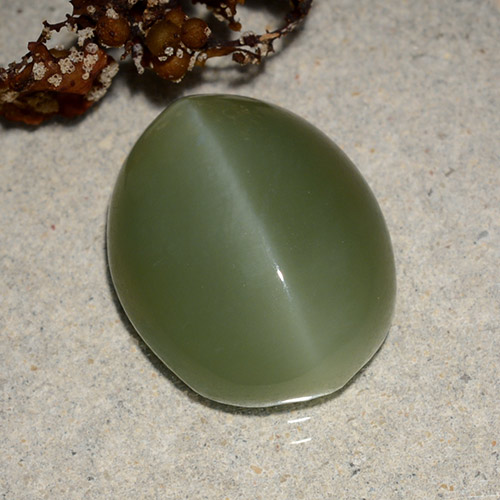 Earthy Green Occhio di gatto actinolite Gem - 9.1ct Ovale cabochon (ID: 486224)