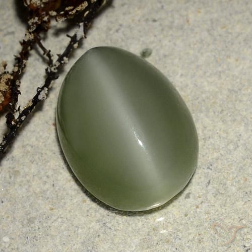 Actinolite œil de chat Vert oval cabochon 6,84 ct des Etats-Unis, dimension 13,6 x 10,3mm, pierre gemme naturelle Non traité, pureté Translucide, 1 pièce Actinolite œil de chat de couleur Vert chaud, dureté Mohs de 5.5 à 6, Photo A