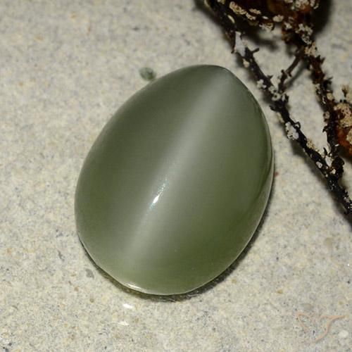 6.84 ct Green Actinolite Cat's Eye Stone, Natural Actinolite Cat's Eye in Oval Cabochon Shape for Sale