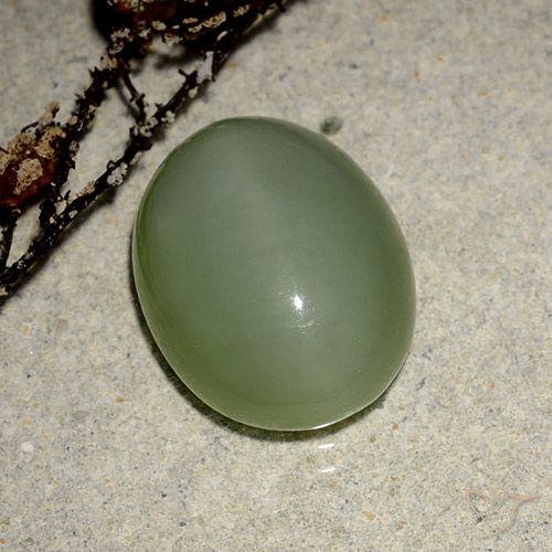 Actinolite œil de chat Ovale en damier des États-Unis 6,99 ct, dimension 14 x 11,1mm, pureté Translucide, pierre gemme naturelle Non traité, 1 pièce Actinolite œil de chat de couleur Vert chaud, dureté Mohs de 5.5 à 6, Photo A