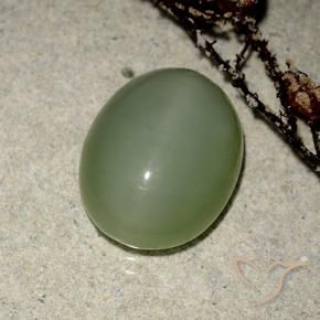 6.99 ct Green Actinolite Cat's Eye Stone, Natural Actinolite Cat's Eye in Oval Cabochon Shape for Sale