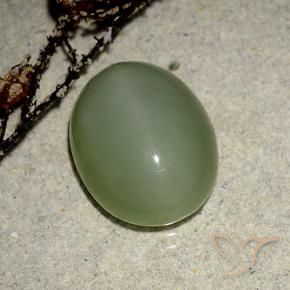 Actinolite Cat's Eye Gemstone in 14 x 11.1 mm Size for Sale, Actinolite Cat's Eye Stone in Warm Green Color