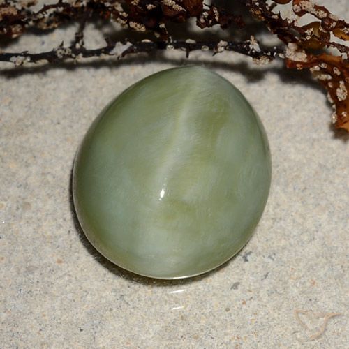 Actinolite œil de chat Vert oval cabochon 13,9 x 11,8mm des Etats-Unis, poids de 6,52 ct, pierre gemme naturelle Non traité de pureté Translucide, 1 pièce Actinolite œil de chat, couleur : Vert chaud, dureté de Mohs de 5.5 à 6, Photo A