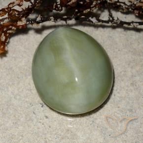 6.52 ct Green Actinolite Cat's Eye Stone, Natural Actinolite Cat's Eye in Oval Cabochon Shape for Sale