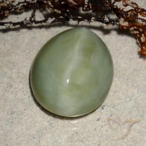 Actinolite Cat's Eye Gemstone in 14 x 12 mm (calibrated) Size for Sale, Actinolite Cat's Eye Stone in Warm Green Color