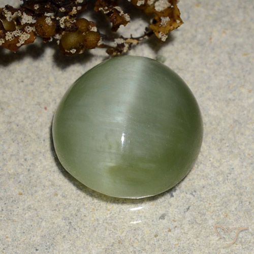 11.3 x 11.1mm Oval Cabochon Green Actinolite Cat's Eye from United States, Weight of 4.9ct, Natural untreated gemstone in Translucent Clarity, 1pc Actinolite Cat's Eye - the Color is Warm Green, Mohs Hardness of 5.5 - 6, Photo A
