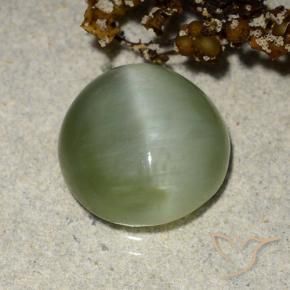 4.90 ct Green Actinolite Cat's Eye Stone, Natural Actinolite Cat's Eye in Oval Cabochon Shape for Sale
