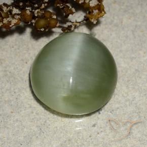 Actinolite Cat's Eye Gemstone in 11 x 11 mm (calibrated) Size for Sale, Actinolite Cat's Eye Stone in Warm Green Color