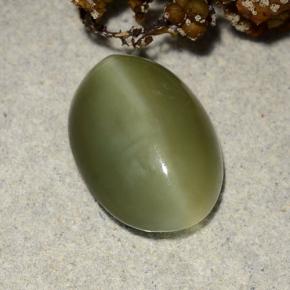 4.69 ct Green Actinolite Cat's Eye Stone, Natural Actinolite Cat's Eye in Oval Cabochon Shape for Sale
