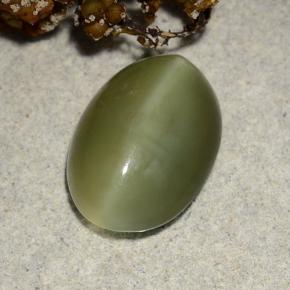 Actinolite Cat's Eye Gemstone in 13.6 x 9.7 mm Size for Sale, Actinolite Cat's Eye Stone in Green Color