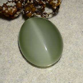 Vert terreux Actinolite Œil de chat gemme - 6.1ct Ovale Cabochon (ID: 486230)
