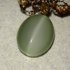 6.10 ct Green Actinolite Cat's Eye Stone, Natural Actinolite Cat's Eye in Oval Cabochon Shape for Sale