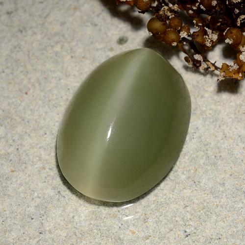Yellowish Green Actinolite Cat's Eye Gem - 6.2ct Oval Cabochon (ID: 486231)