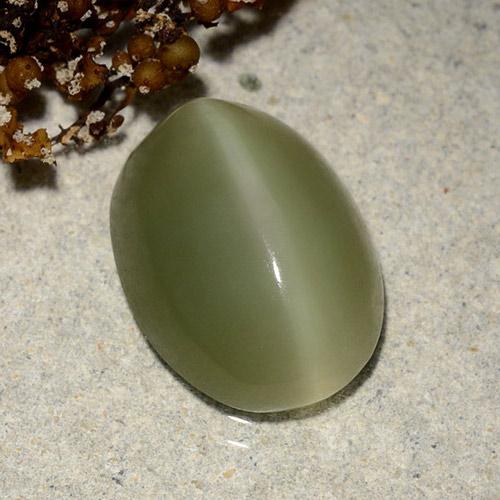6.18 ct Green Actinolite Cat's Eye Stone, Natural Actinolite Cat's Eye in Oval Cabochon Shape for Sale