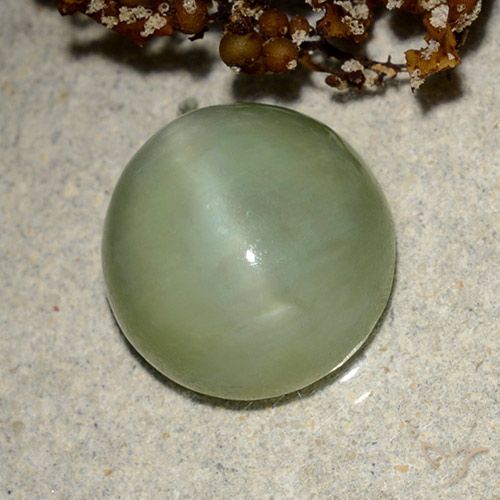 11.6 x 11.3mm Oval Green Actinolite Cat's Eye from United States, Weight of 6.42ct, Natural untreated Gemstone in Translucent Clarity, 1pc Oval Cabochon Actinolite Cat's Eye - Color: Warm Green, Mohs Hardness of 5.5 - 6, Photo A