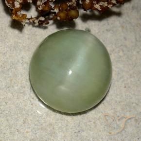 6.42 ct Green Actinolite Cat's Eye Stone, Natural Actinolite Cat's Eye in Oval Cabochon Shape for Sale