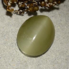 4.55 ct Green Actinolite Cat's Eye Stone, Natural Actinolite Cat's Eye in Oval Cabochon Shape for Sale
