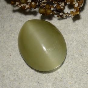 Actinolite Cat's Eye Gemstone in 13.3 x 10.1 mm Size for Sale, Actinolite Cat's Eye Stone in Green Color