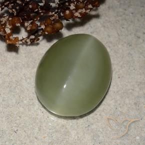 6.21 ct Green Actinolite Cat's Eye Stone, Natural Actinolite Cat's Eye in Oval Cabochon Shape for Sale