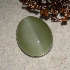 Actinolite Cat's Eye Gemstone in 14.1 x 11.3 mm Size for Sale, Actinolite Cat's Eye Stone in Grayish Green Color