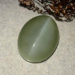 8.86 ct Green Actinolite Cat's Eye Stone, Natural Actinolite Cat's Eye in Oval Cabochon Shape for Sale