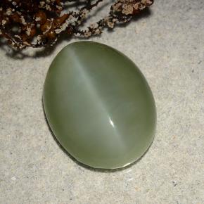 Actinolite Cat's Eye Gemstone in 16 x 12 mm (calibrated) Size for Sale, Actinolite Cat's Eye Stone in Green Color