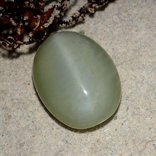 Ojo de Gato Actinolita Cabujón Óvalo de 5,43 ct de Estados Unidos, Dimensión 14 x 10,3mm, Claridad Translúcido, Piedra preciosa natural No tratado, 1 pieza de Ojo de Gato Actinolita en color Verde marrón, Dureza Mohs de 5.5 - 6, Photo A