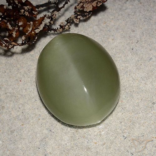 Actinolite œil de chat Vert oval cabochon des Etats-Unis, 15 x 12,2mm, poids de 8,1 ct, pierre gemme naturelle Non traité de pureté Translucide, 1 pièce Actinolite œil de chat, couleur Vert brunâtre, dureté Mohs de 5.5 à 6, Photo A
