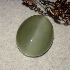 8.10 ct Green Actinolite Cat's Eye Stone, Natural Actinolite Cat's Eye in Oval Cabochon Shape for Sale