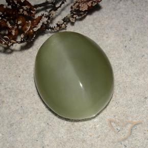 Actinolite Cat's Eye Gemstone in 15 x 12.2 mm Size for Sale, Actinolite Cat's Eye Stone in Brownish Green Color