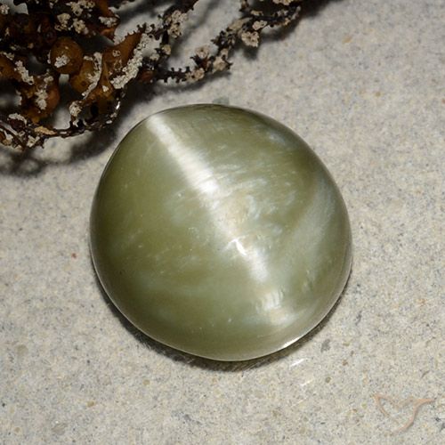 5.32 ct Oval Actinolite Cat's Eye, 12.4 x 11.1 mm From the United States, Photo A
