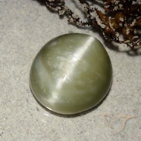 5.32 ct Green Actinolite Cat's Eye Stone, Natural Actinolite Cat's Eye in Oval Cabochon Shape for Sale