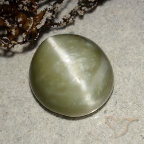 Actinolite Cat's Eye Gemstone in 12.4 x 11.1 mm Size for Sale, Actinolite Cat's Eye Stone in Yellowish Green Color