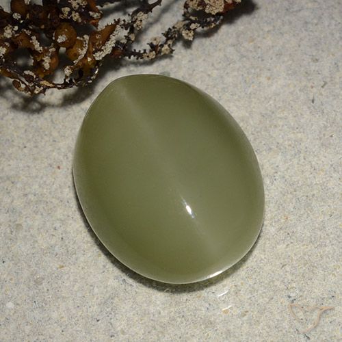 15,5 x 11,9mm ovaler grüner Actinolith Katzenauge aus den USA, Gewicht 8,14 ct, 1 Stück Actinolith Katzenauge - Farbe: Gelblich-grün, natürlicher Edelstein in Translucent Reinheit, Mohs-Härte von 5,5 - 6, Photo A