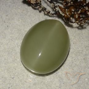 8.14 ct Green Actinolite Cat's Eye Stone, Natural Actinolite Cat's Eye in Oval Cabochon Shape for Sale