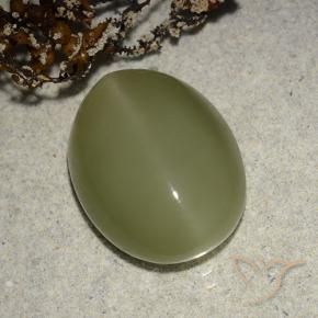 Actinolite Cat's Eye Gemstone in 16 x 12 mm (calibrated) Size for Sale, Actinolite Cat's Eye Stone in Yellowish Green Color