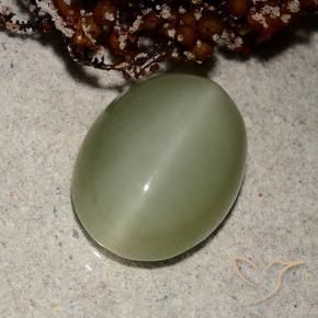 5.66 ct Green Actinolite Cat's Eye Stone, Natural Actinolite Cat's Eye in Oval Cabochon Shape for Sale