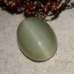 Actinolite Cat's Eye Gemstone in 13 x 10.1 mm Size for Sale, Actinolite Cat's Eye Stone in Earthy Green Color