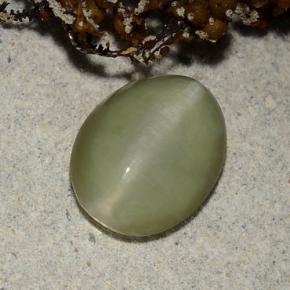 2.40 ct Green Actinolite Cat's Eye Stone, Natural Actinolite Cat's Eye in Oval Cabochon Shape for Sale