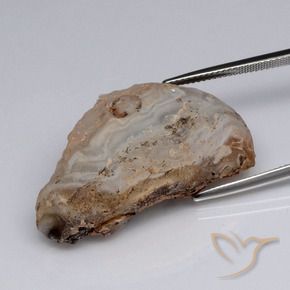 Agate Geode Gemstone in 35.7 x 20.4 mm Size for Sale, Agate Geode Stone in Multicolor Color